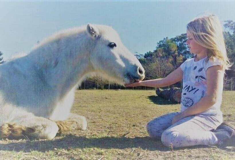 Pension Stoneridge Farm