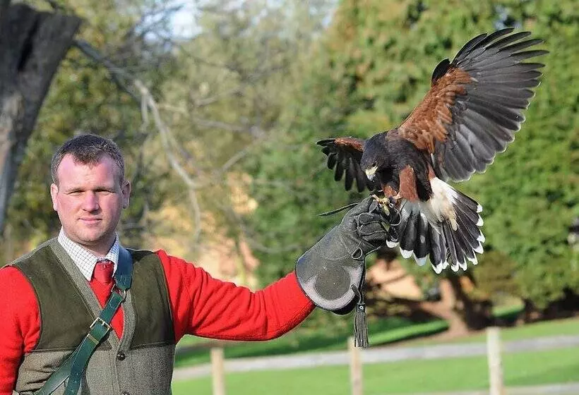 تختخواب و صبحانه Leeds Castle Maiden S Tower