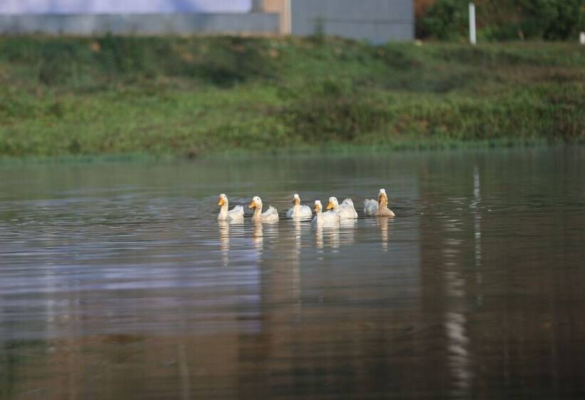 Hotell Three Hills Coorg