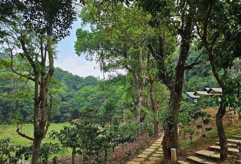 Hotell Three Hills Coorg