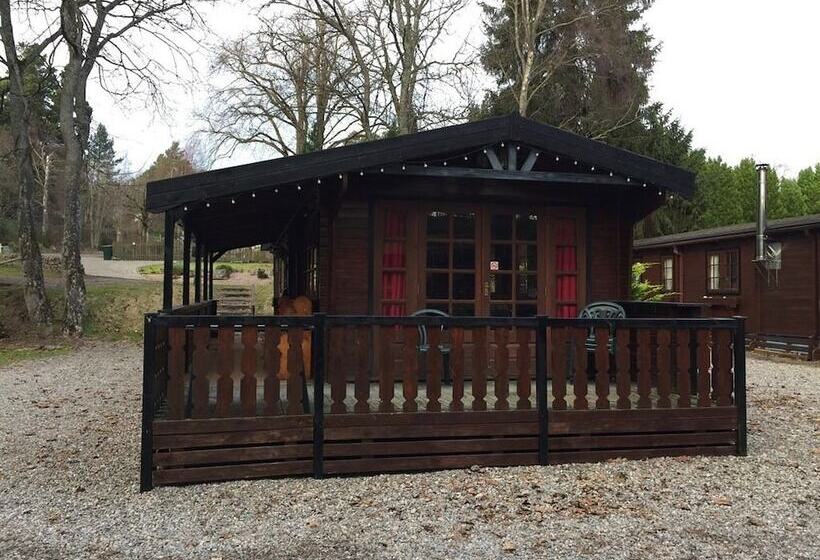 Lurchers Cabin Aviemore