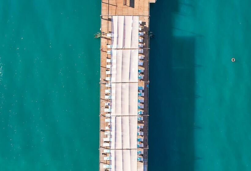 استراحتگاه Paloma Sencia