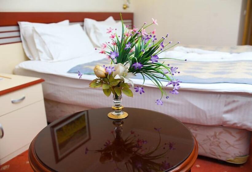 هتل Akar International