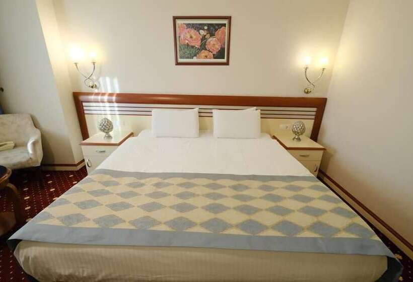 هتل Akar International