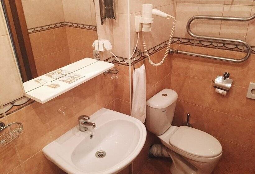 فندق Dis President