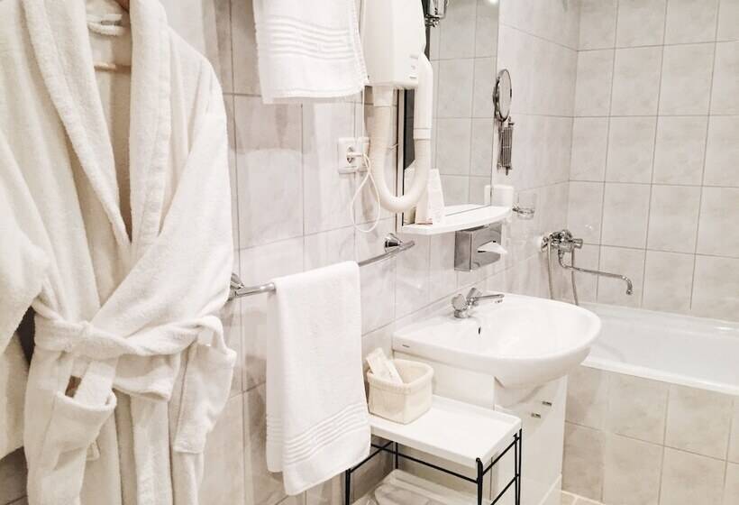 فندق Dis President