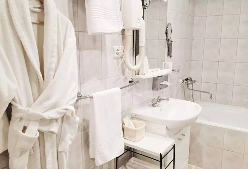 هتل Dis President