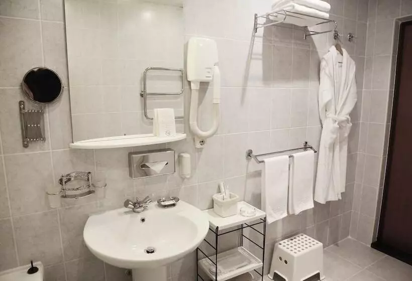 هتل Dis President