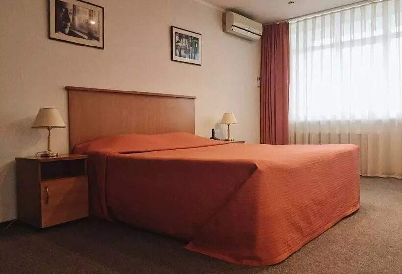 هتل Dis President