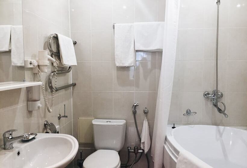 فندق Dis President