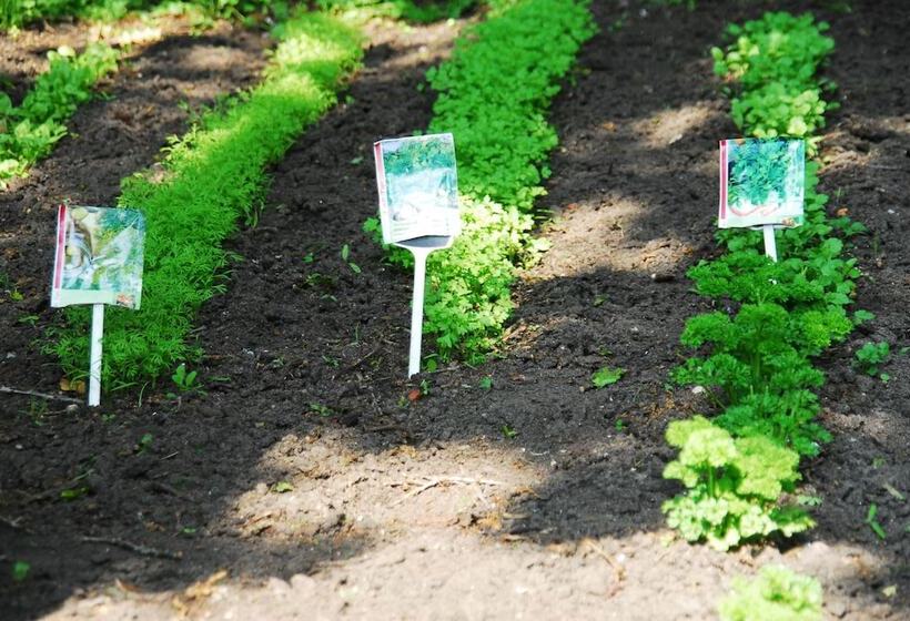 Fletcher Hotel Jan Van Scorel