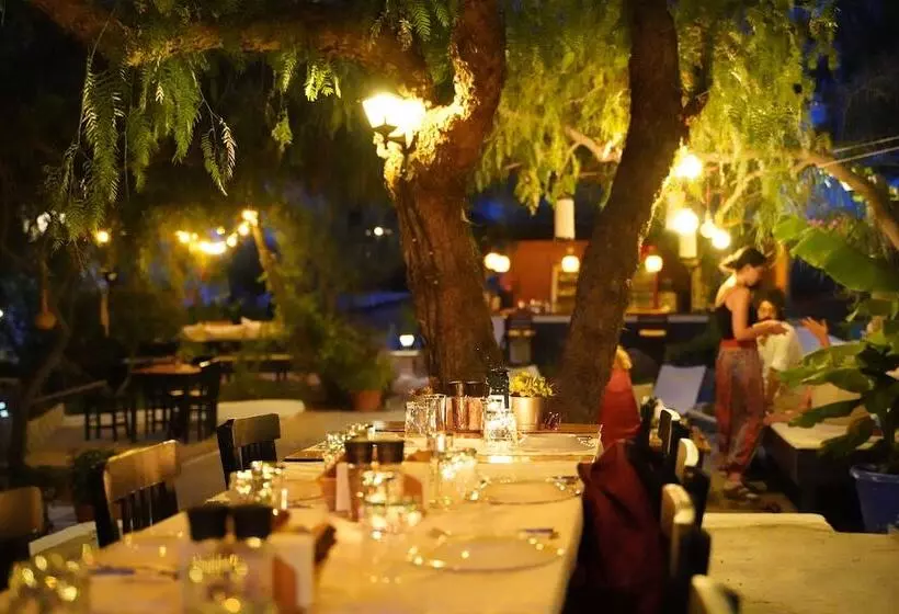 בית מלון כפרי Mavi Suite Turkbuku