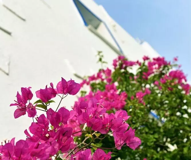 בית מלון כפרי Mavi Suite Turkbuku