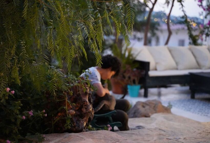 Hotel Mavi Suite Turkbuku