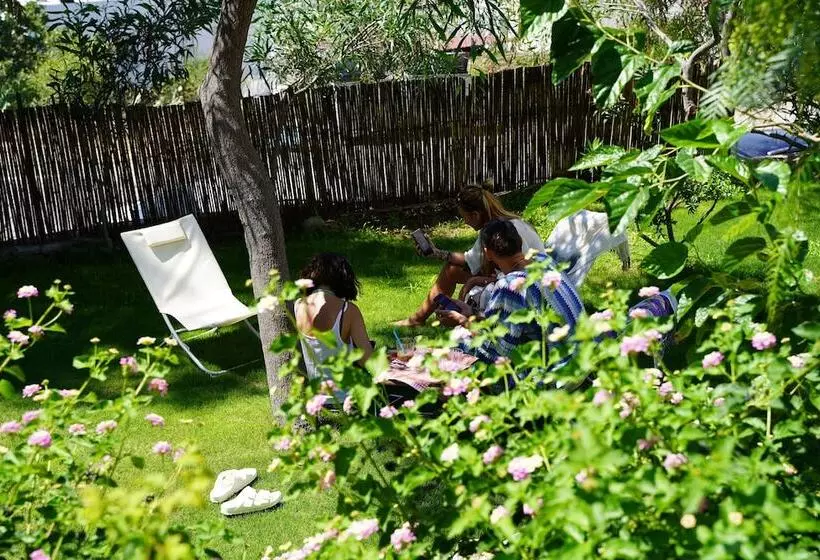 בית מלון כפרי Mavi Suite Turkbuku