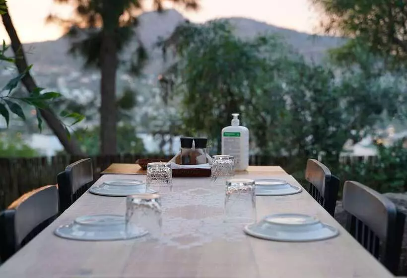 בית מלון כפרי Mavi Suite Turkbuku