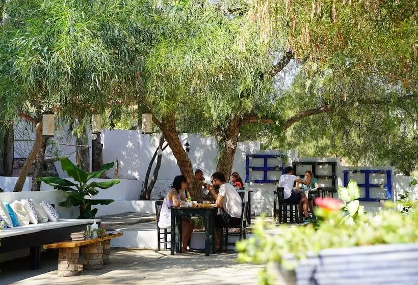 בית מלון כפרי Mavi Suite Turkbuku