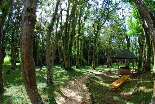 ホテル Parador Villas Sotomayor