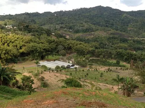 ホテル Parador Villas Sotomayor