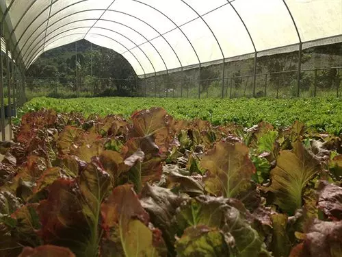 ホテル Parador Villas Sotomayor