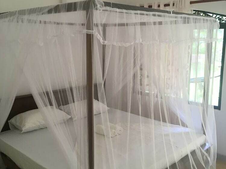 Villa Coconut   Hostel