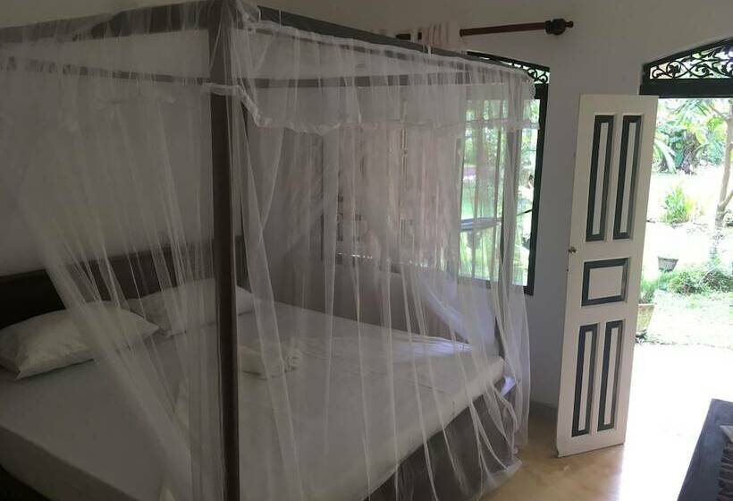 Villa Coconut   Hostel