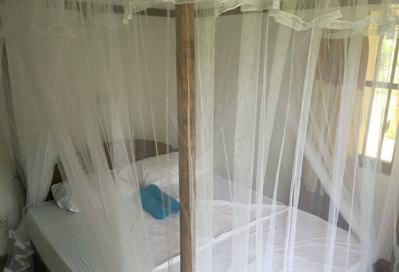 Villa Coconut   Hostel