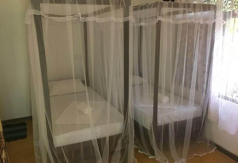 Villa Coconut   Hostel