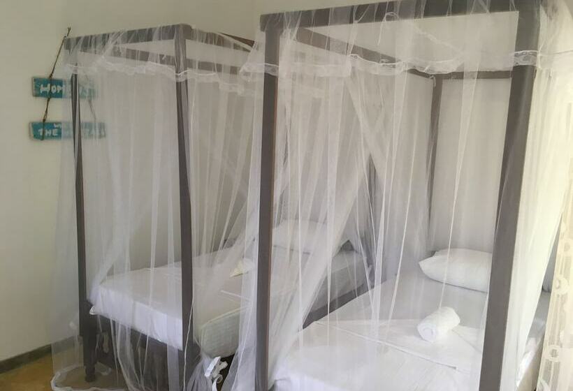 Villa Coconut   Hostel