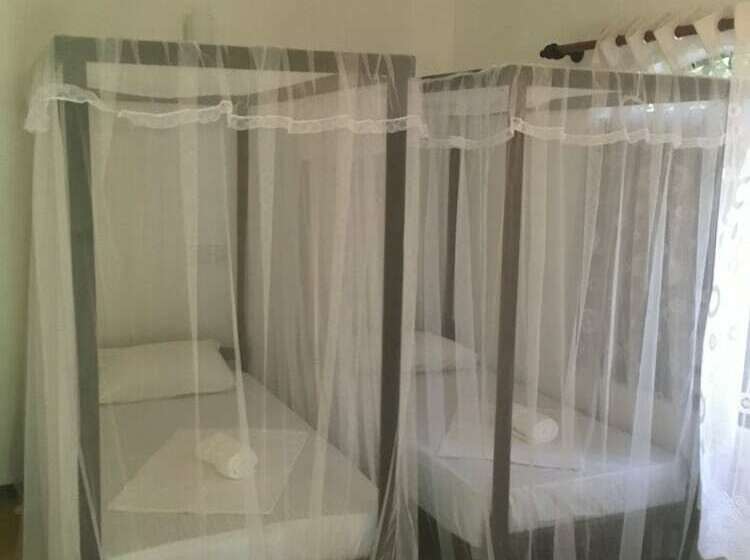 Villa Coconut   Hostel