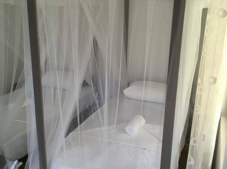 Villa Coconut   Hostel