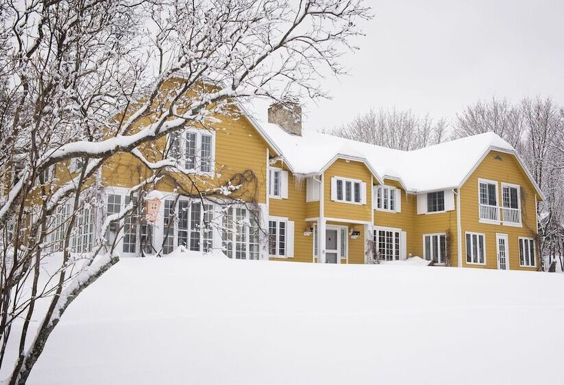 Bed and Breakfast Auberge Sur La Cote