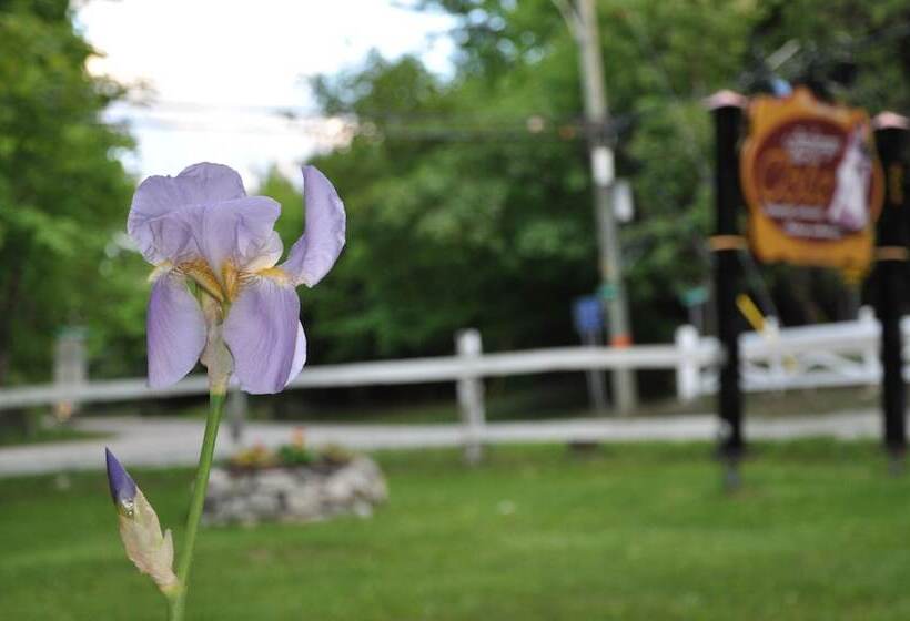 Bed and Breakfast Auberge Sur La Cote