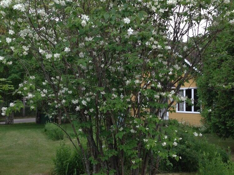 Bed and Breakfast Auberge Sur La Cote