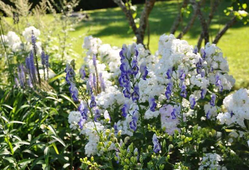 Bed and Breakfast Auberge Sur La Cote