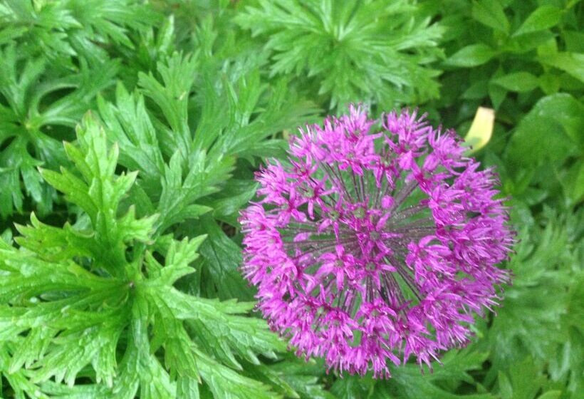 Bed and Breakfast Auberge Sur La Cote