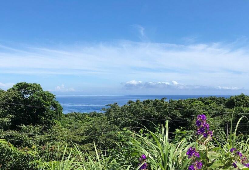 Cottage Orange House Yakushima