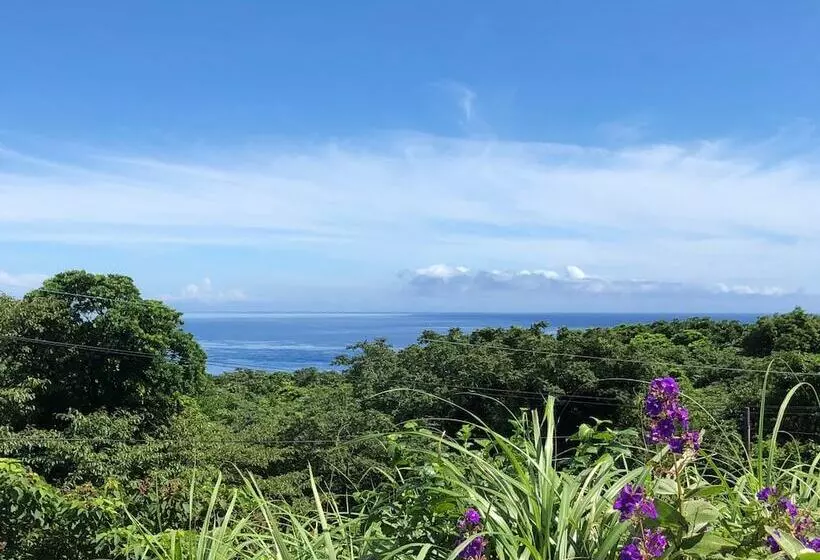 Cottage Orange House Yakushima