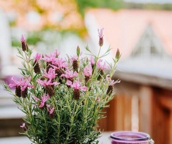 Das Schierke Harzresort Am Brocken