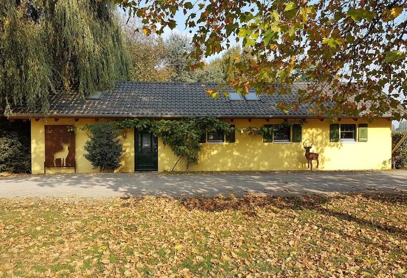 פנסיון Apartments Luisenhof