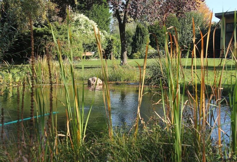 פנסיון Apartments Luisenhof