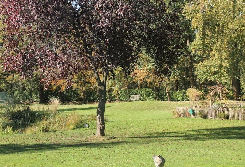 פנסיון Apartments Luisenhof