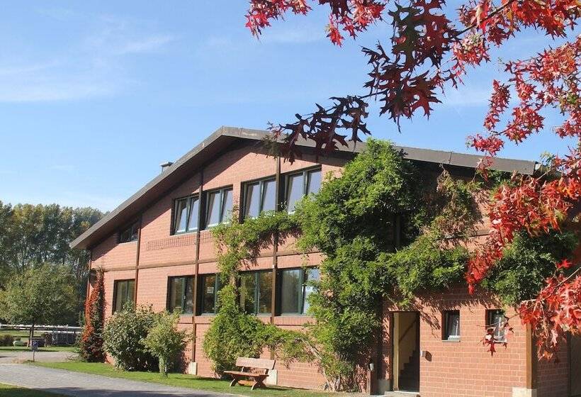 פנסיון Apartments Luisenhof