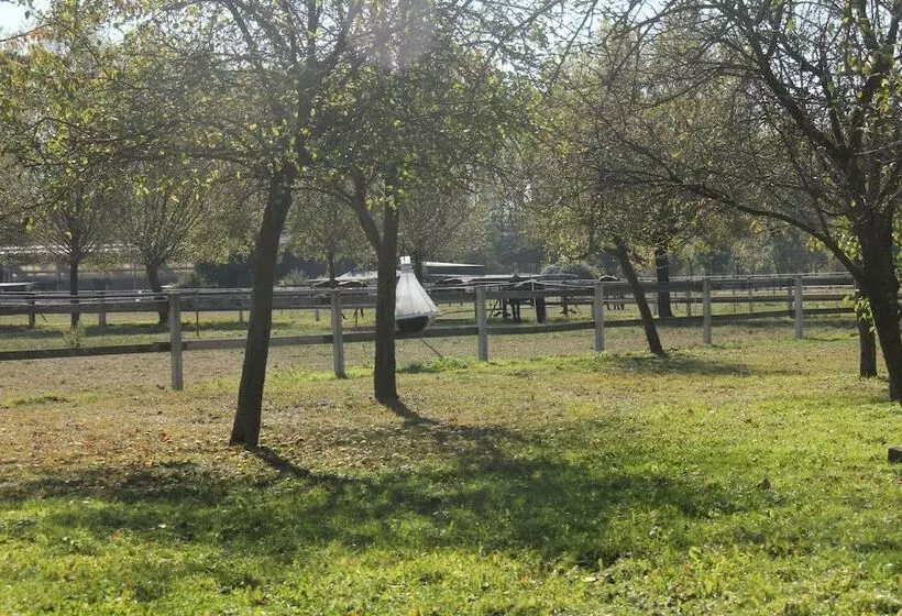 ペンション Apartments Luisenhof