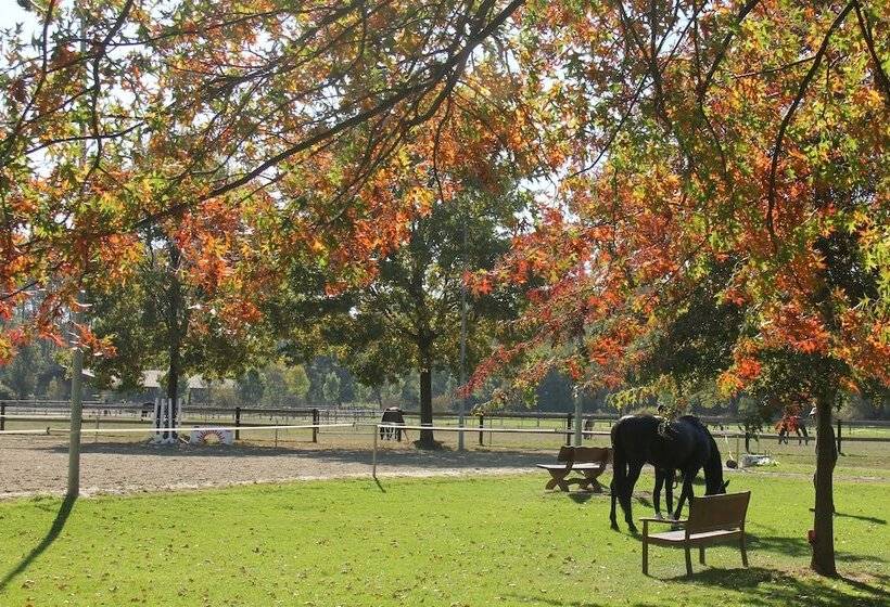 פנסיון Apartments Luisenhof