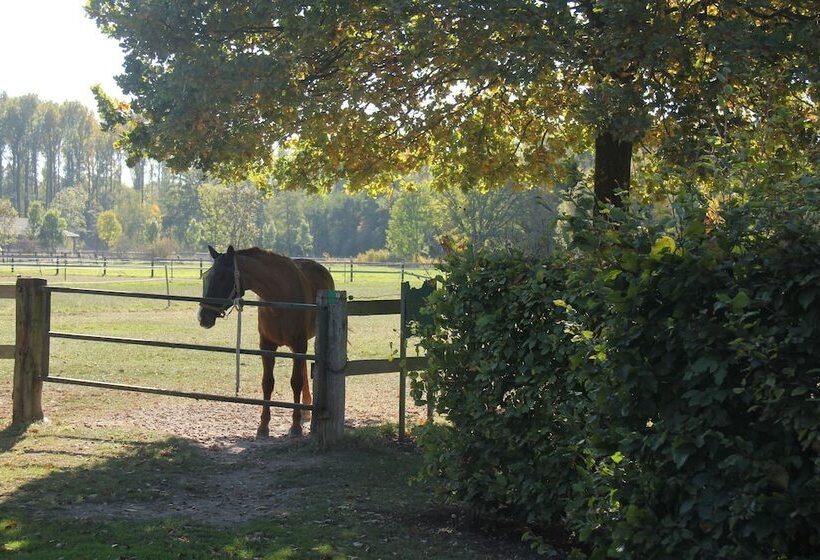 פנסיון Apartments Luisenhof