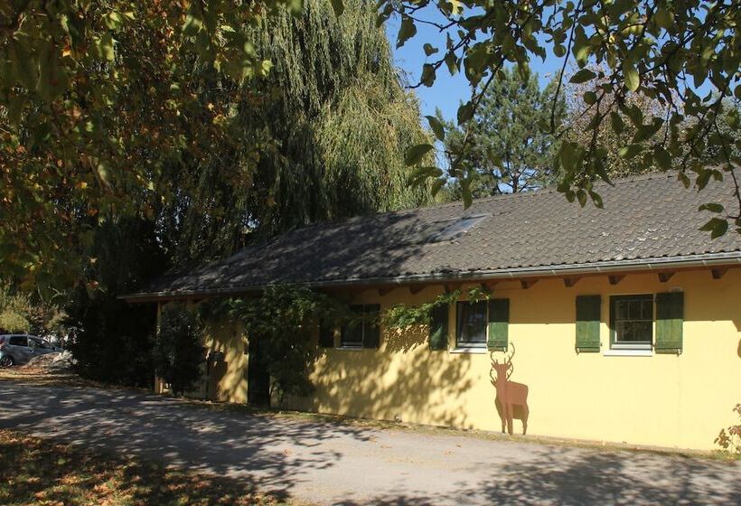 פנסיון Apartments Luisenhof