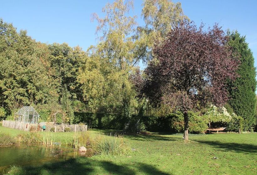 פנסיון Apartments Luisenhof