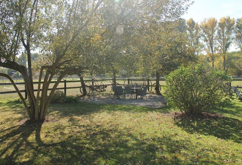 פנסיון Apartments Luisenhof