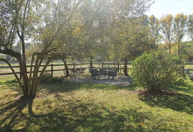 ペンション Apartments Luisenhof